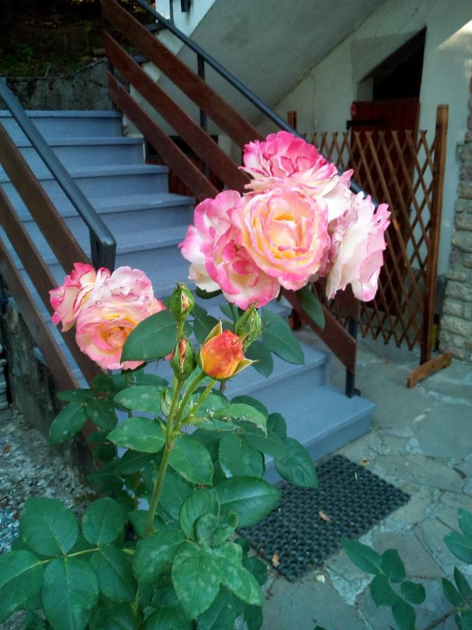 M&G Ranch Bed & Breakfast Vendaso Dış mekan fotoğraf